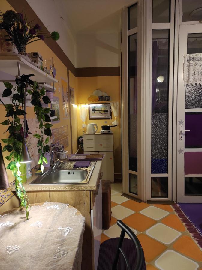 Litoměřice Pension Relax المظهر الخارجي الصورة