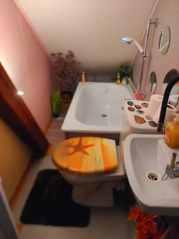 Litoměřice Pension Relax المظهر الخارجي الصورة