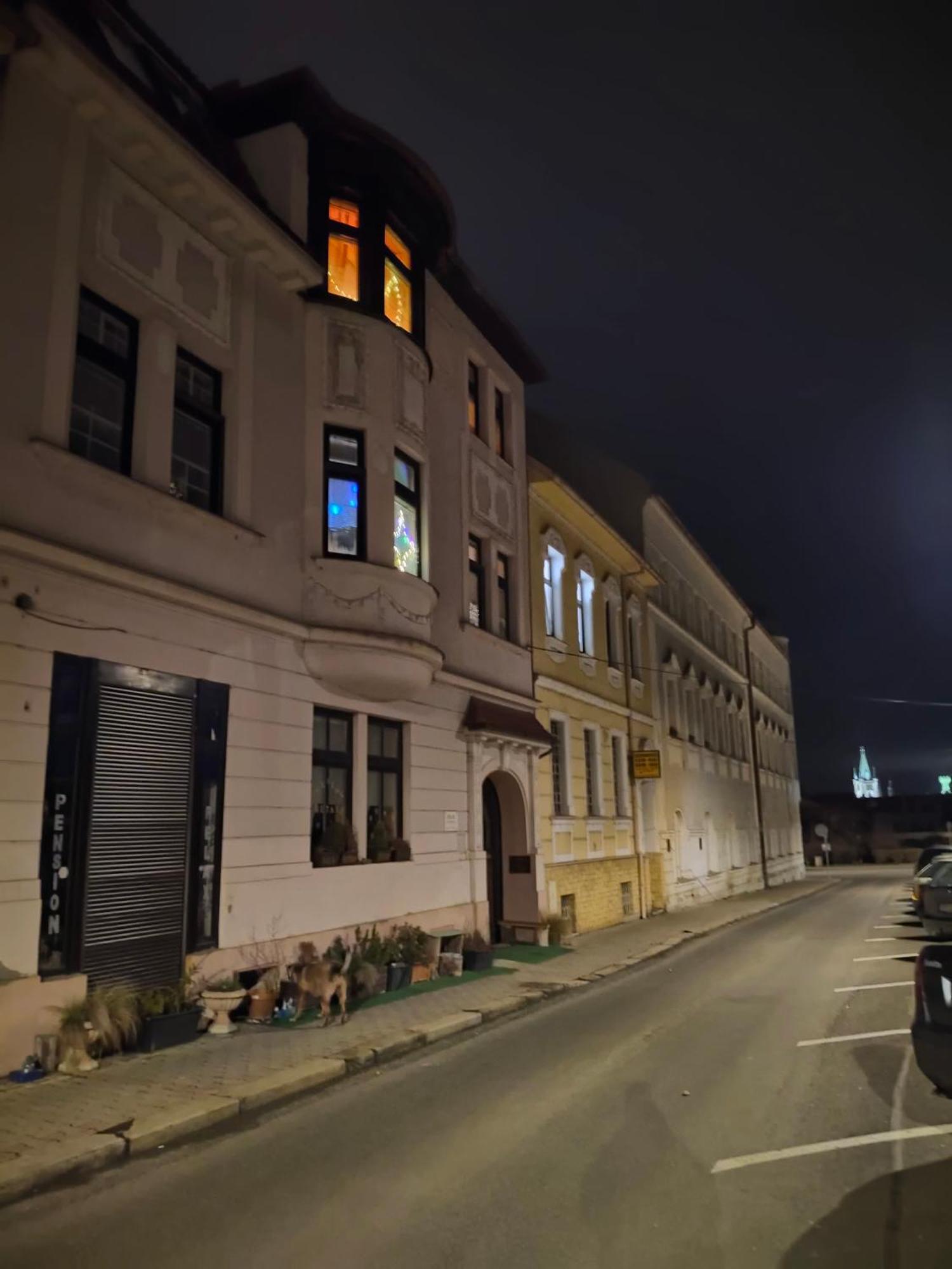 Litoměřice Pension Relax المظهر الخارجي الصورة
